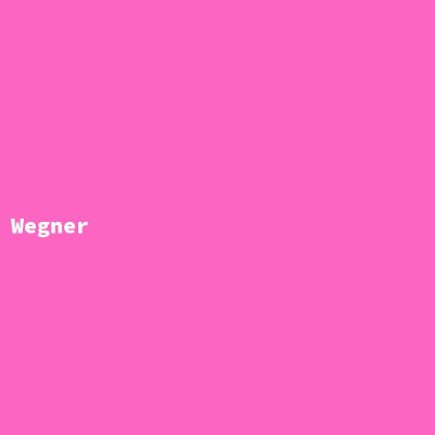Hersteller: Wegner