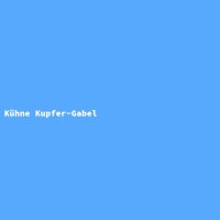 K&uuml;hne Kupfer-Gabel