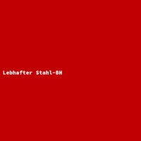 Lebhafter Stahl-BH