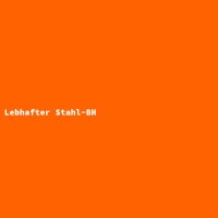 Lebhafter Stahl-BH