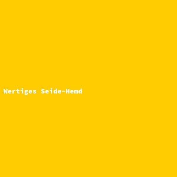 Wertiges Seide-Hemd