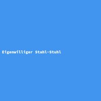 Eigenwilliger Stahl-Stuhl