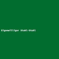 Eigenwilliger Stahl-Stuhl
